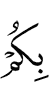 шуца