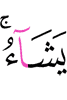 Шийна лайнар