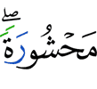 гулдаь долаш