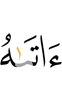 шийна денначох