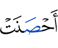 ший йоlал лорадаь