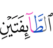 шин тоабах